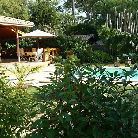 Cap Ferret Centre Villa *