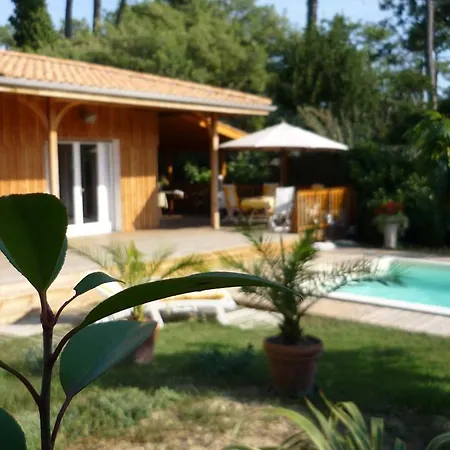 Cap Ferret Centre *